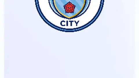 《體育晨報》報導：巴薩計劃冬窗投1300-1400萬歐元收購羅克